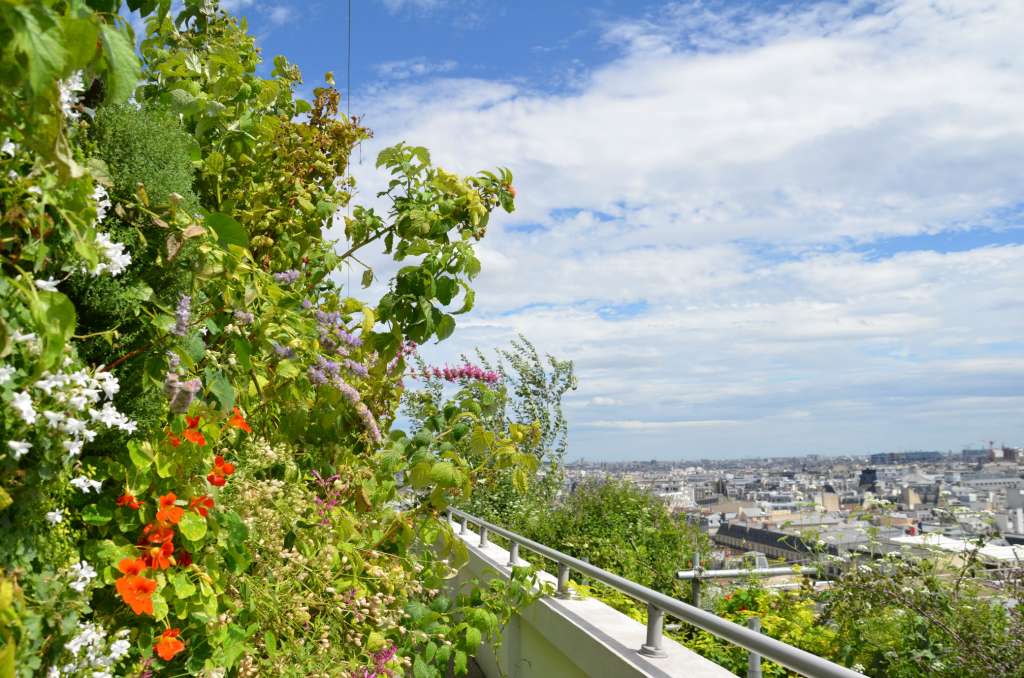 sous-les-fraises